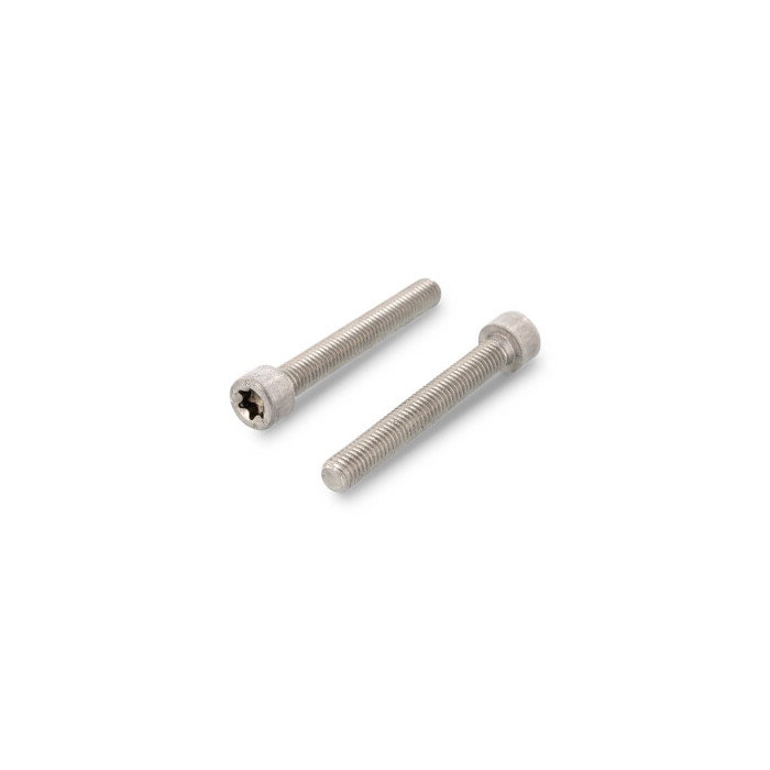 Cilinderschroef M8 x 50 mm ISO 14579 RVS A2-70 TX45 (100 stuks) main product photo