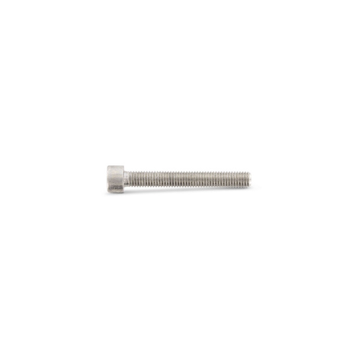 Cilinderschroef M2 x 6 mm ISO 14579 RVS A4-70 TX6 (500 stuks) main product photo