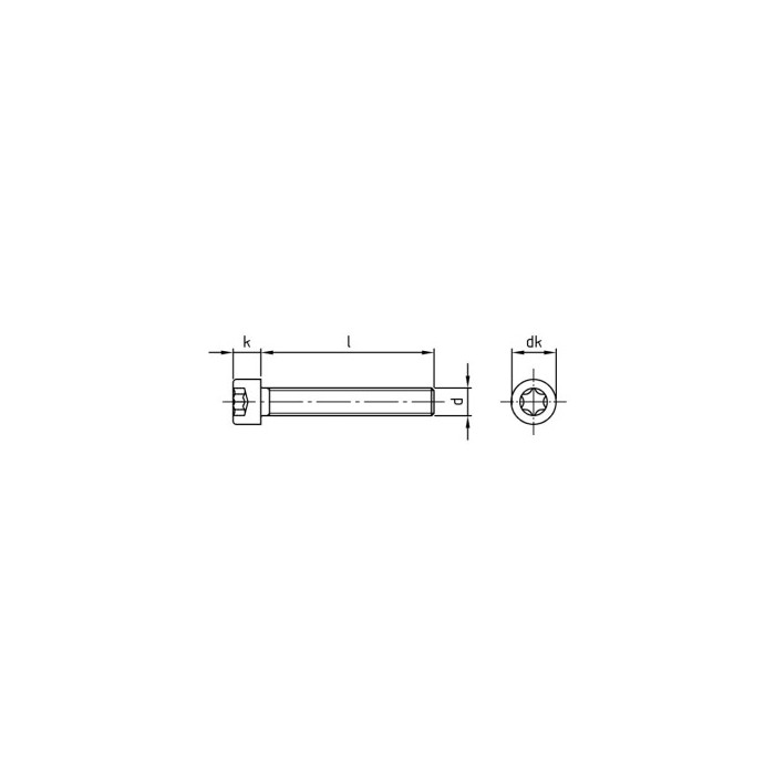 Cilinderschroef M6 x 60/60 mm ISO 14579 RVS A4-70 TX30 (100 stuks) main product photo