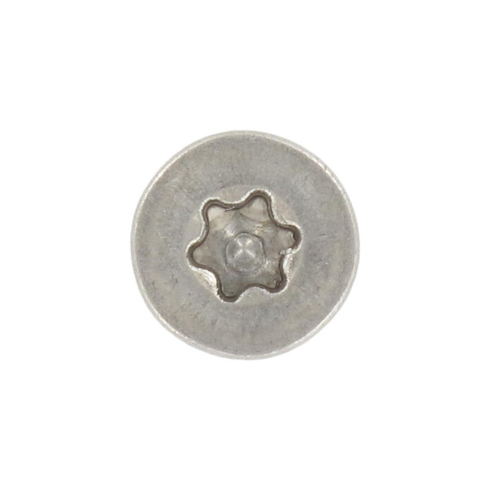 Verzonken schroef M4 x 5 mm ISO 14581 RVS A4-50 TX20 (500 stuks) main product photo