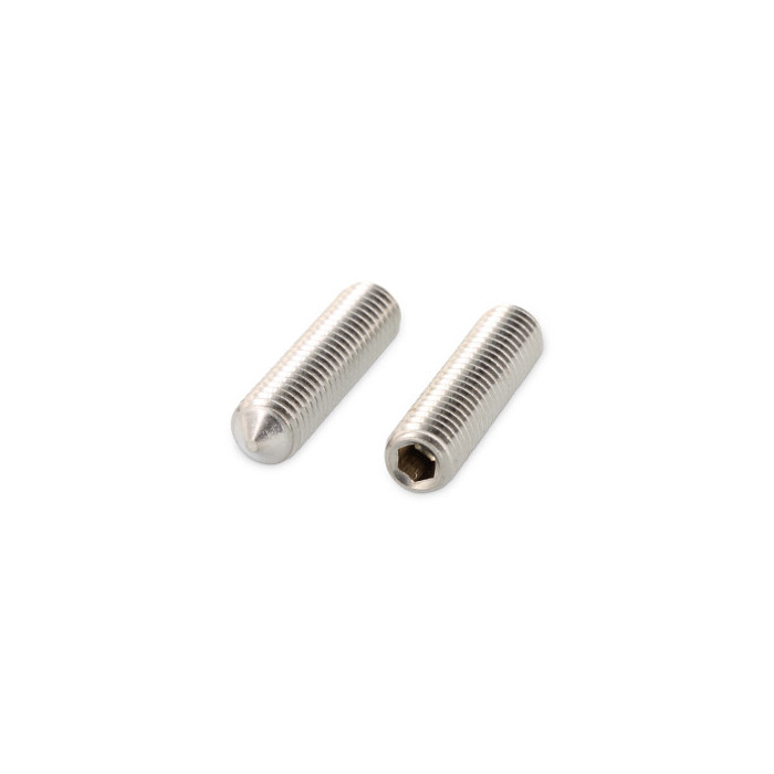 Stelschroef met punt M8 x 10 mm ISO 4027 RVS A4 SW4 (200 stuks) main product photo