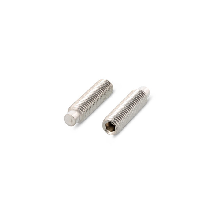 Stelschroef met nok M5 x 12 mm ISO 4028 RVS A2 SW2,5 (500 stuks) main product photo