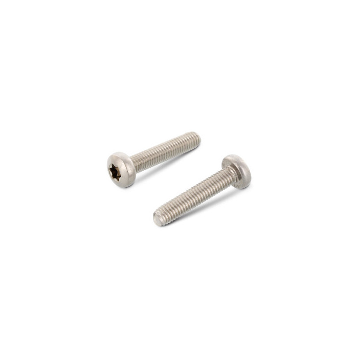 Zelftapbout CE vorm M2,5 x 6 mm DIN 7500C RVS A2-50 TX8 (1000 stuks) main product photo