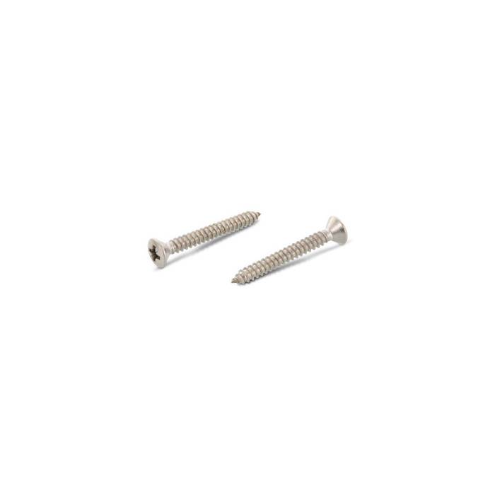 Verzonken plaatschroef met lenskop C 4,8 x 50 mm DIN 7983 RVS A2 PZ2 (200 stuks) main product photo