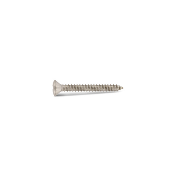 Verzonken plaatschroef met lenskop C 4,8 x 9,5 mm DIN 7983 RVS A2 PZ2 (1000 stuks) main product photo
