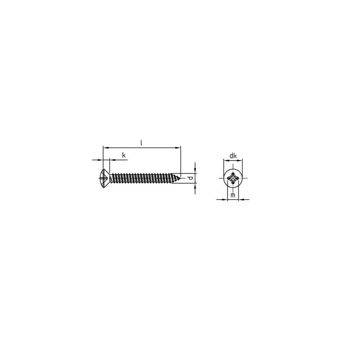 Verzonken plaatschroef met lenskop C 4,8 x 25 mm DIN 7983 RVS A2 PH2 (500 stuks) main product photo