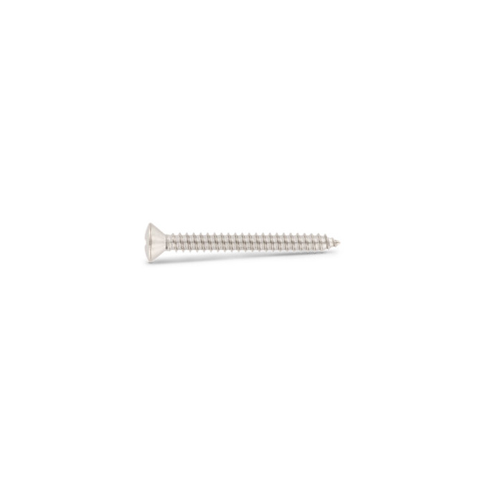 Verzonken plaatschroef met lenskop C 6,3 x 100 mm DIN 7983 RVS A2 PH3 (200 stuks) main product photo