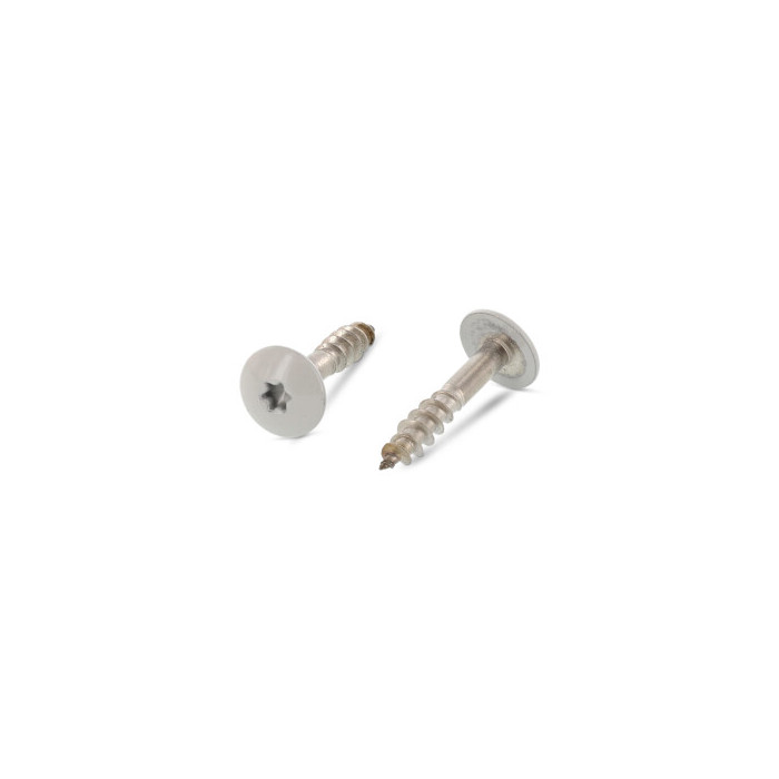 Trespo houtschroef plat-ronde kop 5,5 x 38 mm RAL 7038 Art. 9086 RVS A2-50 TX20 (100 stuks) main product photo