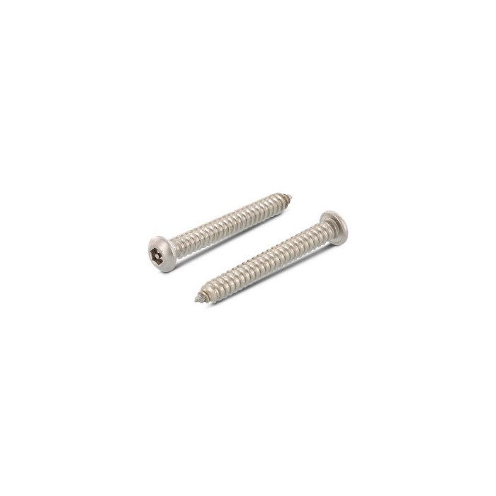 Veiligheidsschroef met pin C 3,5 x 9,5 mm Art. 9110 RVS A2-50 SW2 PIN (100 stuks) main product photo