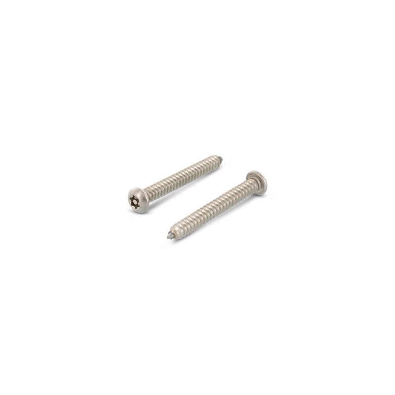 Veiligheidsschroef verzonken ISR met pin M5 x 10 mm Art. 9123 RVS A2-50