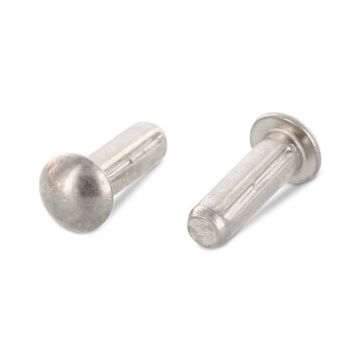 Kerfnagel bolkop 4 x 8 mm DIN 1476 RVS A2 (200 stuks)