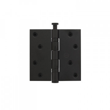 Intersteel Kogellagerscharnier recht tot 70 kilo mat zwart RVS-304