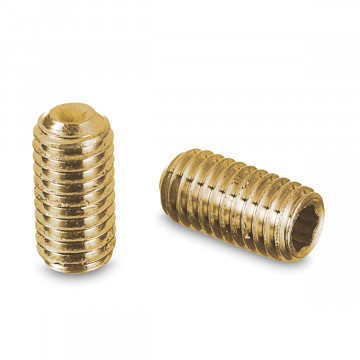 Binnenzeskantschroef Shona M5 x 10 mm RVS-304 messing