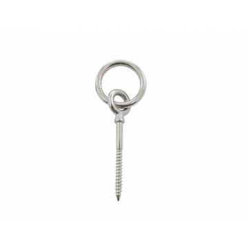 Oogschroef met ring 6 x 60 mm RVS-316