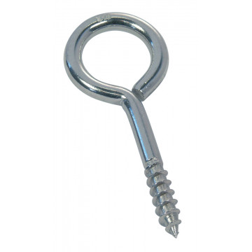 Oogschroef 12 x 25 mm RVS-316