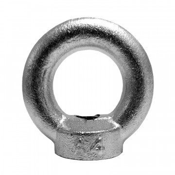 Oogmoer gesmeed DIN 582, M20 RVS-316 (A4)