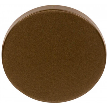 Blind plaatje Bertram Beerbaum TENSE BBB53 53 mm brons