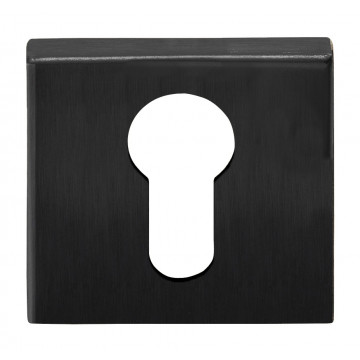 Cilinderplaatje BASICS BSQY53 vierkant cilinder plaatje PVD gunmetal RVS-304