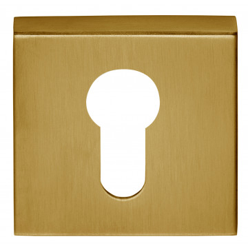 Cilinderplaatje BASICS BSQY53 vierkant cilinder plaatje PVD mat goud RVS-304