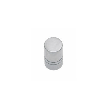 Intersteel Meubelknop 13 mm rvs geborsteld