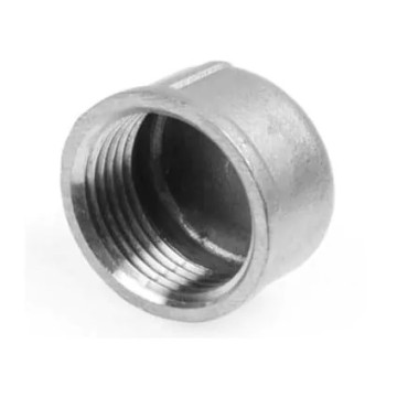 Ronde kap BSP, 2 inch RVS-316 (A4)
