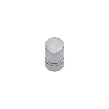 Intersteel Meubelknop 18 mm rvs geborsteld