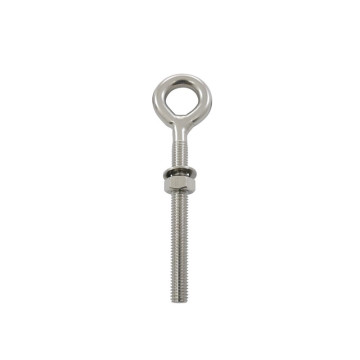 Oogbout met metrische draad M10 x 100 mm RVS-316