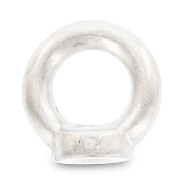 Oogmoer gesmeed M30 DIN 582 RVS A4-50 (5 stuks)