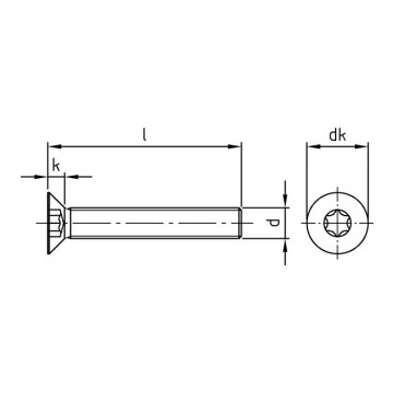 Verzonken schroef M6 x 14 mm ISO 10642 RVS A2-50 TX30 (200 stuks)