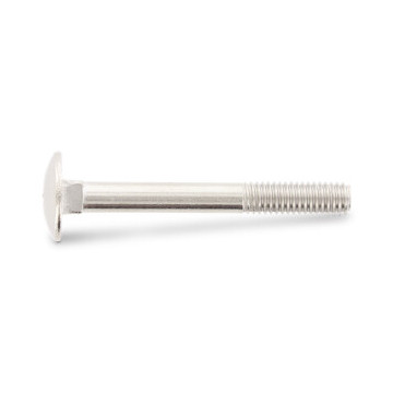 Slotbout M6 x 65 mm DIN 603 RVS A2-70 (100 stuks)