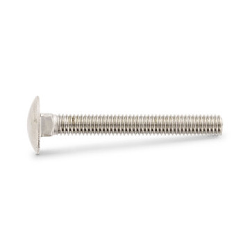 Slotbout M10 x 25 mm DIN 603 RVS A2-70 (100 stuks)