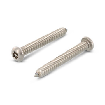Veiligheidsschroef ISR met pin C 5,5 x 25 mm Art. 9120 RVS A2-50 TX27 PIN (100 stuks)