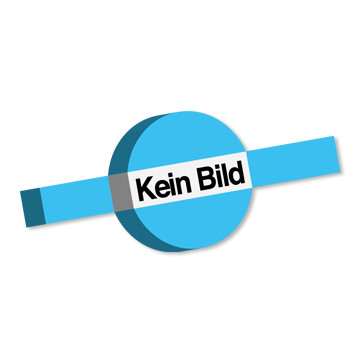 Knevelschroef B M20 x 100 mm DIN 444 RVS A4-50 (10 stuks)