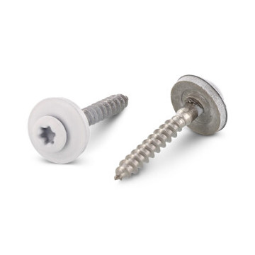 Spenglerschroef 4,5 x 30 mm RAL 9010 Art. 9087 RVS A2-50 TX20 (200 stuks)