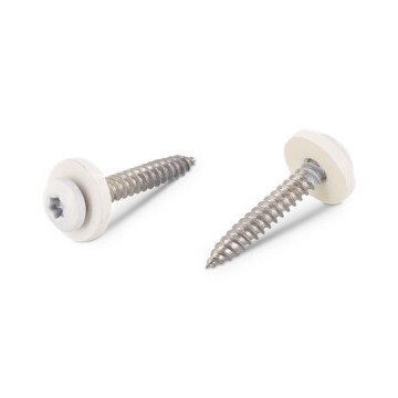 Vensterbankschroef C 3,9 x 19 mm RAL 9003 Art. 9066 RVS A2-50 TX15 (200 stuks)