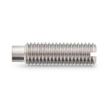 Stelschroef met sleuf en nok M4 x 25 mm DIN 417 RVS A2 (200 stuks)