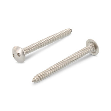 Veiligheidsschroef ronde kop 2-hole C 4,8 x 16 mm Art. 9105 RVS A2-50 SP10 (100 stuks)