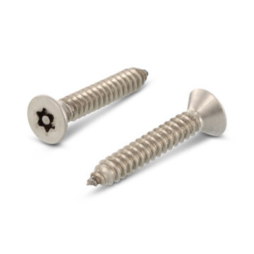 Veiligheidsschroef verzonken ISR met pin C 5,5 x 75 mm Art. 9122 RVS A2-50 TX27 PIN (100 stuks)