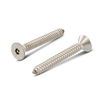 Veiligheidsschroef verzonken met pin C 6,3 x 19 mm Art. 9112 RVS A2-50 SW4 PIN (100 stuks)
