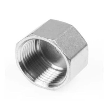 Zeskant kap BSP, 1/2 inch RVS-316 (A4)
