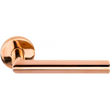 Deurkruk paar BASICS LB2-19 deurkruk EN1906 klasse 3 geveerd op rozet PVD gepolijst koper RVS-304