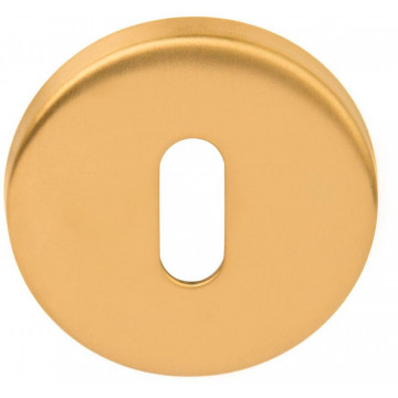 Sleutelplaatje BASICS LBN50 6 mm PVD mat goud RVS-304