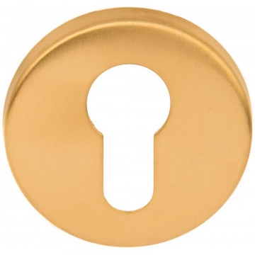 Cilinderplaatje BASICS LBY50 6 mm PVD mat goud RVS-304