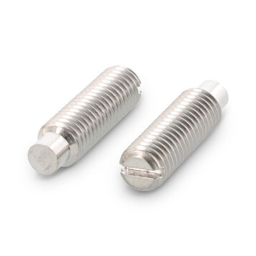 Stelschroef met sleuf en nok M6 x 8 mm DIN 417 RVS A2 (100 stuks)