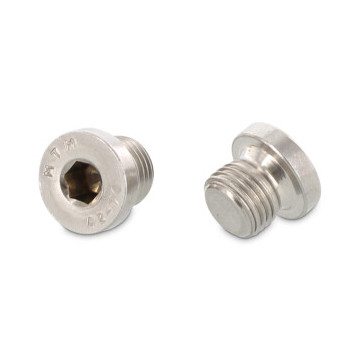 Afdichtingsschroef met flens M10 x 1 mm DIN 908 RVS A2-50 SW5 (50 stuks)