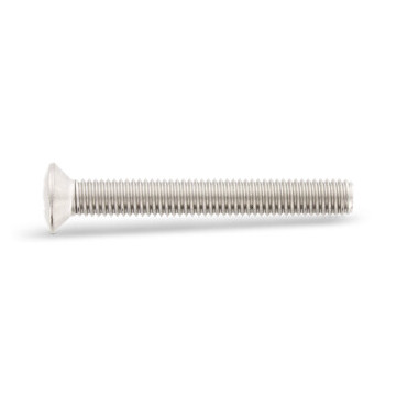 Lenskopschroef M2 x 3 mm DIN 966 RVS A2-50 PH1 (1000 stuks)