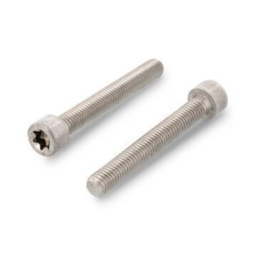 Cilinderschroef M5 x 25 mm ISO 14579 RVS A4-70 TX25 (200 stuks)