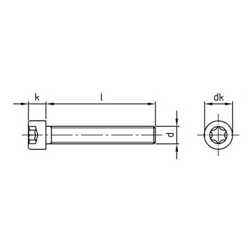 Cilinderschroef M6 x 60/60 mm ISO 14579 RVS A4-70 TX30 (100 stuks)