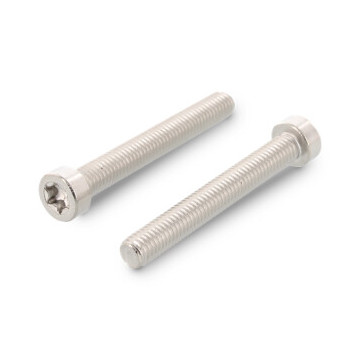 Cilinderschroef lage kop M2 x 20 mm ISO 14580 RVS A2-50 TX6 (1000 stuks)
