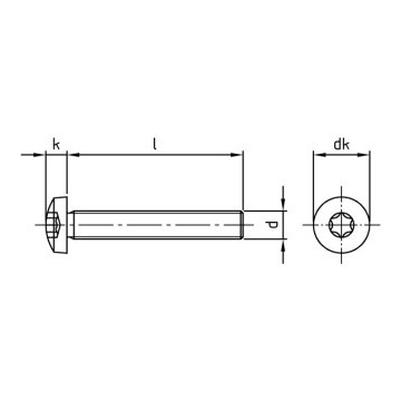 Lenskop cilinderschroef M3 x 60/60 mm ISO 14583 RVS A2-50 TX10 (200 stuks)